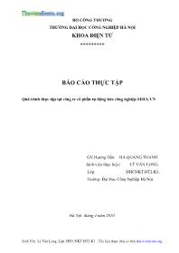 Báo cáo Quá trình thực tập tại công ty cổ phần tự động hóa công nghiệp SISIA.VN