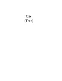 Lập trình hướng đối tượng - Cây (Tree)
