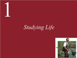 1. Studying Life