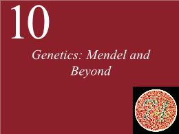 10. Genetics: Mendel and Beyond