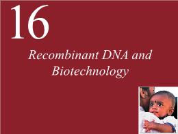 16. Recombinant DNA and Biotechnology