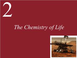 2. The Chemistry of Life