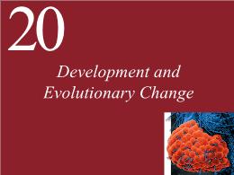 20. Development and Evolutionary Change