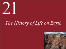 21. The History of Life on Earth