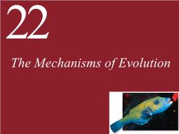 22. The Mechanisms of Evolution