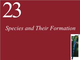 23. Species and Their Formation