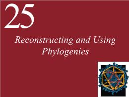 25. Reconstructing and Using Phylogenies