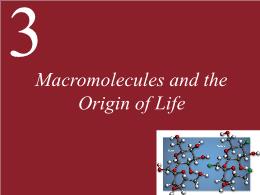 3. Macromolecules and the Origin of Life
