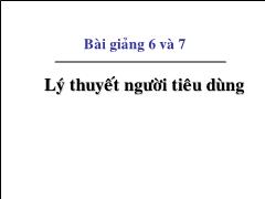 Bài giảng 6 và 7. Lý thuyết người tiêu dùng