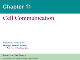 Bài giảng Biology - Chapter 11: Cell Communication
