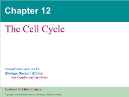 Bài giảng Biology - Chapter 12: The Cell Cycle