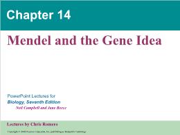 Bài giảng Biology - Chapter 14: Mendel and the Gene Idea