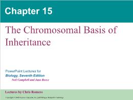 Bài giảng Biology - Chapter 15: The Chromosomal Basis of Inheritance