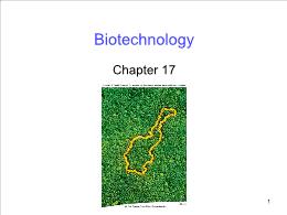 Bài giảng Biology - Chapter 17: Biotechnology
