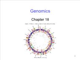 Bài giảng Biology - Chapter 18: Genomics