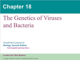 Bài giảng Biology - Chapter 18: The Genetics of Viruses and Bacteria