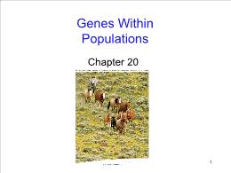 Bài giảng Biology - Chapter 20: Genes Within Populations