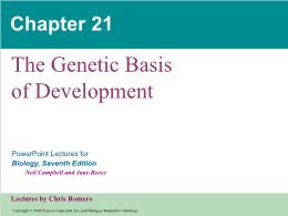 Bài giảng Biology - Chapter 21: The Genetic Basis of Development
