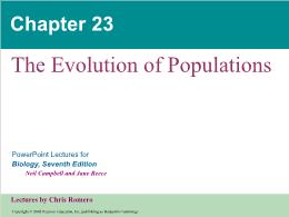 Bài giảng Biology - Chapter 23: The Evolution of Populations