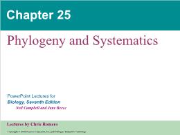 Bài giảng Biology - Chapter 25: Phylogeny and Systematics