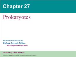 Bài giảng Biology - Chapter 27: Prokaryotes
