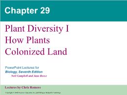 Bài giảng Biology - Chapter 29: Plant Diversity I How Plants Colonized Land