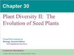Bài giảng Biology - Chapter 30: Plant Diversity II: The Evolution of Seed Plants