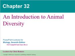 Bài giảng Biology - Chapter 32: An Introduction to Animal Diversity