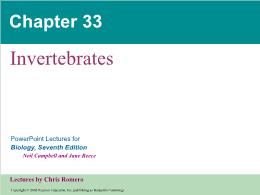 Bài giảng Biology - Chapter 33: Invertebrates