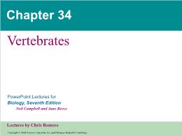 Bài giảng Biology - Chapter 34: Vertebrates