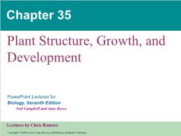 Bài giảng Biology - Chapter 35: Plant Structure, Growth, and Development
