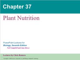 Bài giảng Biology - Chapter 37: Plant Nutrition