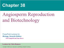 Bài giảng Biology - Chapter 38: Angiosperm Reproduction and Biotechnology
