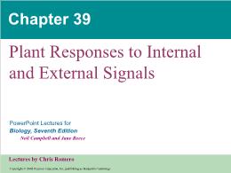 Bài giảng Biology - Chapter 39: Plant Responses to Internal and External Signals