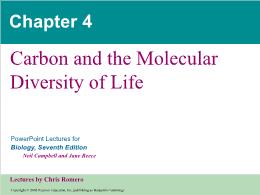 Bài giảng Biology - Chapter 4: Carbon and the Molecular Diversity of Life