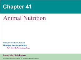 Bài giảng Biology - Chapter 41: Animal Nutrition