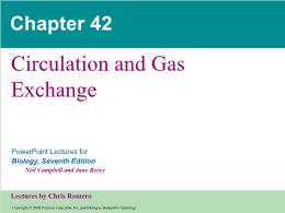Bài giảng Biology - Chapter 42: Circulation and Gas Exchange