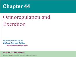 Bài giảng Biology - Chapter 44: Osmoregulation and Excretion