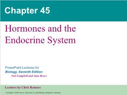 Bài giảng Biology - Chapter 45: Hormones and the Endocrine System