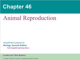 Bài giảng Biology - Chapter 46: Animal Reproduction