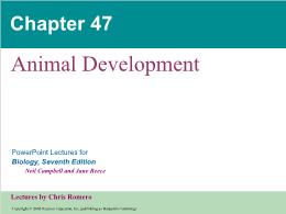 Bài giảng Biology - Chapter 47: Animal Development