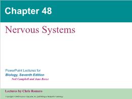 Bài giảng Biology - Chapter 48: Nervous Systems