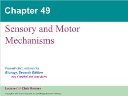 Bài giảng Biology - Chapter 49: Sensory and Motor Mechanisms