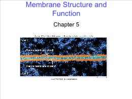 Bài giảng Biology - Chapter 5: Membrane Structure and Function