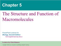 Bài giảng Biology - Chapter 5: The Structure and Function of Macromolecules