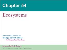 Bài giảng Biology - Chapter 54: Ecosystems