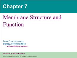Bài giảng Biology - Chapter 7: Membrane Structure and Function