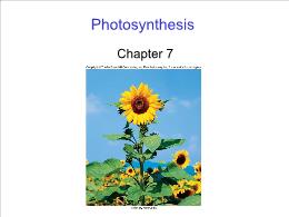 Bài giảng Biology - Chapter 7: Photosynthesis