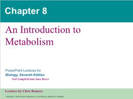 Bài giảng Biology - Chapter 8: An Introduction to Metabolism
