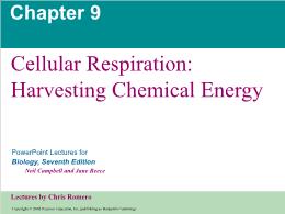 Bài giảng Biology - Chapter 9: Cellular Respiration: Harvesting Chemical Energy